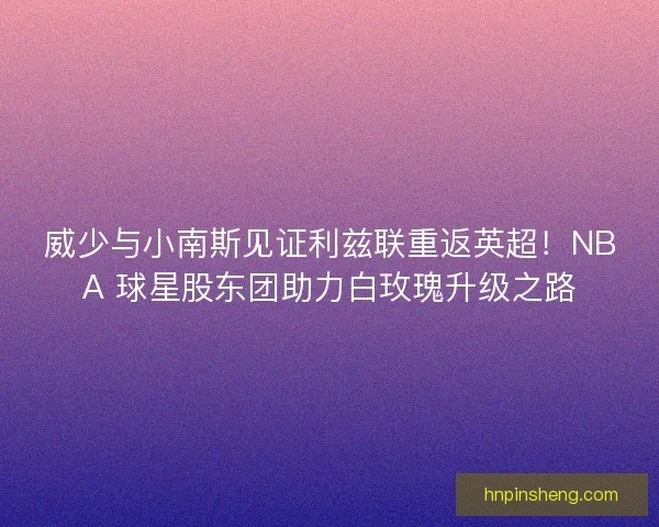 威少与小南斯见证利兹联重返英超！NBA 球星股东团助力白玫瑰升级之路